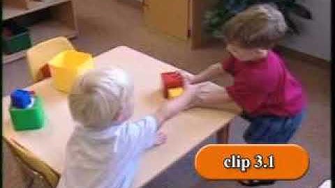 CSEFEL 3.1 Observing biting behaviour