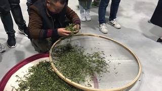 Chaozhou - Tea baking after fixation Net Worth