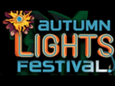 2020 Autumn Lights Festival—Fine Art Night