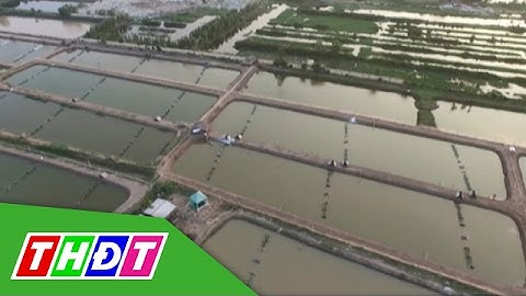 Tái cơ cấu nông nghiệp để thích ứng biến đổi khí hậu | THDT