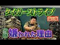 【衝撃】当時嫌われた理由 - タイガーストライプ完全解説 第二弾 -