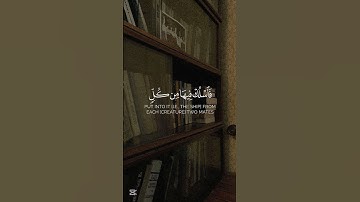 سورة المؤمنون تلاوة القارئ بدر البشر #quran #قران_كريم قران#تلاوة #quran #تلاوة_مميزة #islamquran