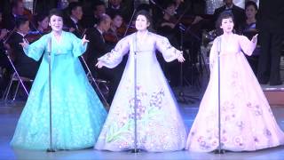 North Korean Dance and Music Show 2014