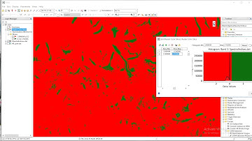 SPECTRAL INDICES, ENVI, ndsi