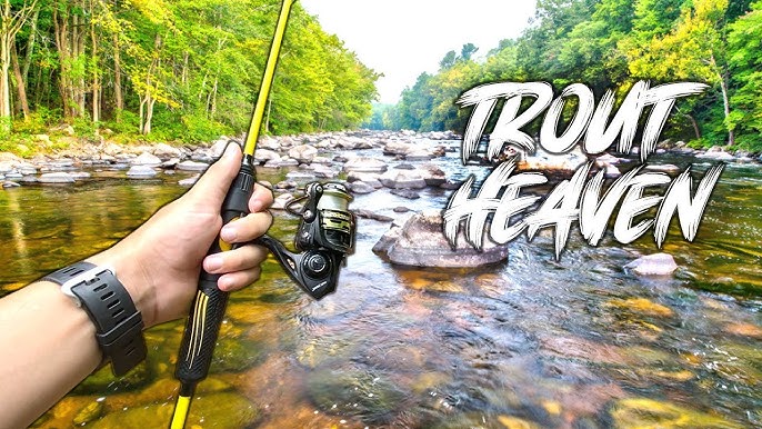 Stocked Trout Fishing w/ Powerbait MOUSE TAILS! Trout cheat code