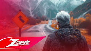 Zmanele ✘ COCO - E o vorba mare-n lume (Remix)