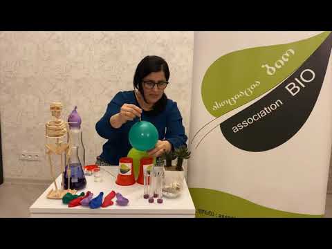 \"ბუშტი შამფურზე\"/ განკუთვნილია ყველა ასაკის მოსწავლეთათვის