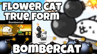 Cách True Form FlowerCat - Bombercat - The Battle Cats VietNam ~ screenshot 5