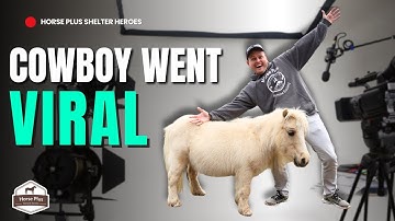 Over 80 Millions Views! | Horse Shelter Heroes - S6 E40