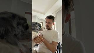 Sesi açınn... her sabah aynı muhabbet.. Kuduz mu bu??
