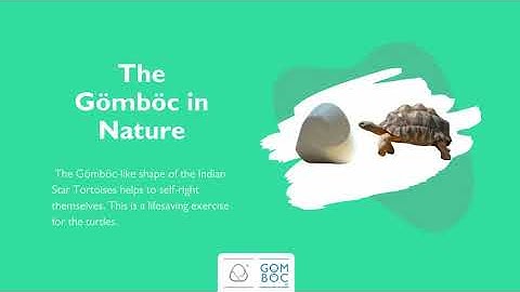 How the Gomboc (Gömböc) effects on Science