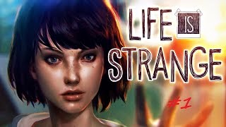 Life Is Strange (прохождение на русском). Часть 1
