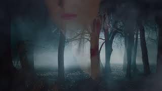 MEDITATION Eduardo Sandoval [ White Eagle ] Relaxing music , Sleep Music, Anti Stress Music 4K MUSIC screenshot 4