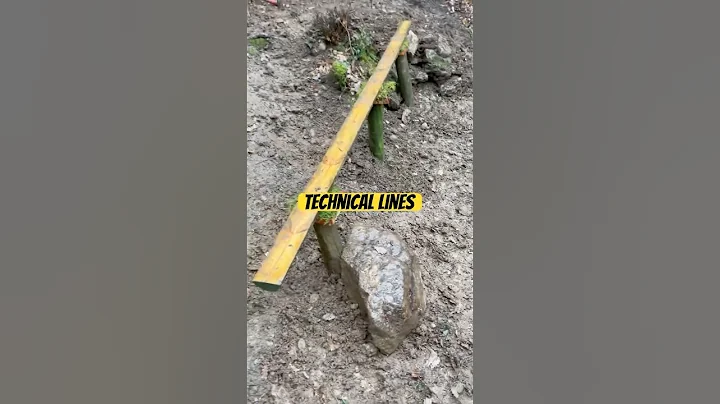 Wood works!!‼️Maximum Precision! #yt #ytshorts #mtb #trailbuilding #building #mountainbike