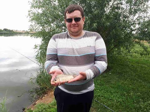Милая, скушай пирожное! Милая, скушай пирожное!