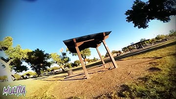 Weekend! | Tree ate my quad. // QAV-X Betaflight 3.0