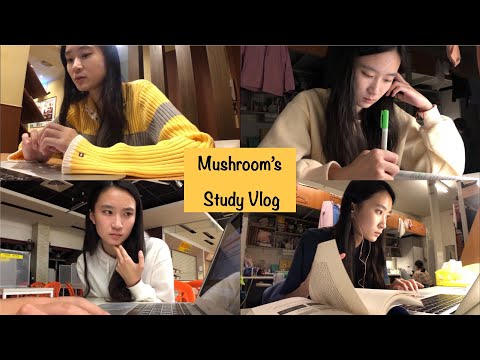 清華Study Vlog#7 | 如何有效管理我的讀書時間分配📝 | MushroomWang🍄