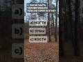 А ты правильно ответил на все вопросы? #задания #знания #тест #вопросы #эрудиция
