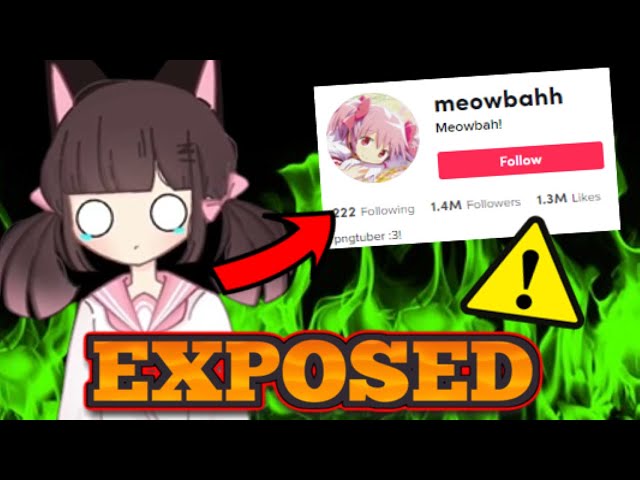 Meowbahh called me😳😱 (real voice exposed) 