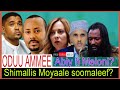 Shimallis Moyyaale Soomaleef Abiy Fi Meloni WBO Fi RIB 7 25 2025 AGM Shimallis Moyyaale Soomaleef Abiy Fi Meloni WBO Fi RIB 7 25 2025 AGM