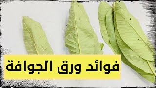 علاج تورم اللثة وحب الشباب/ التخلص من البلغم /علاج الإسهال والسعال