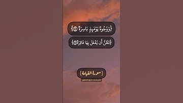 سورة القيامة الآية ٢٠ الى ٣٠ بصوت الشيخ محمد صديق المنشاوي