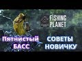 Fishing Planet советы прокачки Басс