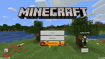 "A newer version of the game has saved this level" MINECRAFT PE