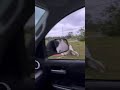 MS storm damage