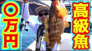 釣ったイカをエサにしたら〇万円の高級魚が釣れた！
