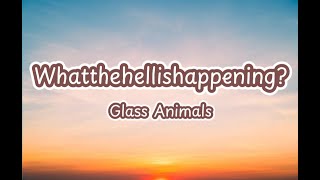 Famous (whatthehellishappening) What the hell is happening - Glass Animals LYRICS Profile
