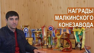 Награды Малкинского конного завода за победы в дистанционных пробегах. Кабардино-Балкария Награды Малкинского конного завода за победы в дистанционных пробегах. Кабардино-Балкария