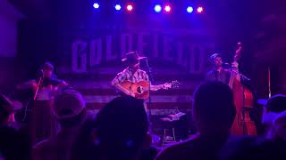Lost Dog Street Band , Terrible and True