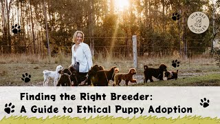Finding the Right Breeder A Guide to Ethical Puppy Adoption