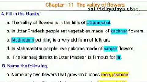GRADE 4 EVS CHAPTER 11 THE VALLEY OF FLOWERS GUIDANCE VIDEO