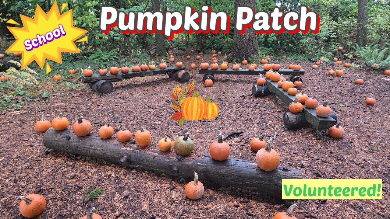 Pumpkin Patch | Simple - YouTube