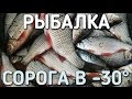 РЫБАЛКА НА ОЗЕРЕ ЗИМОЙ / СОРОГА В -30