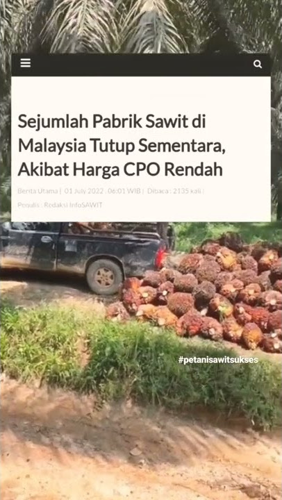 story wa sawit virall #shorts #story #quotes #sawit