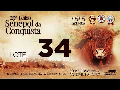 LOTE 34 CONQ 2796