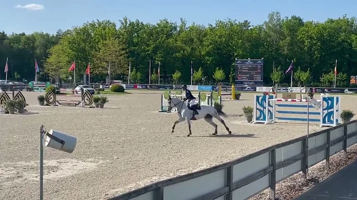 Givenchy (ZIROCCO BLUE ex Quamikaze des Forets) et...