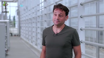 NPEC testimonial - Sven Warris - pepper trial in NPEC Greenhouse