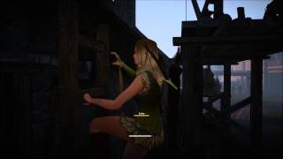 Black Desert - Using a Ladder
