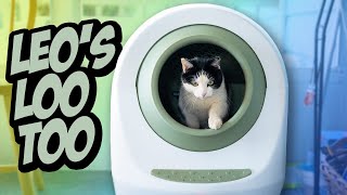 Leo's Loo Too Smart Self Cleaning Litter Box Unboxing & Setup: Goodbye Scooping! | Raymond Strazdas