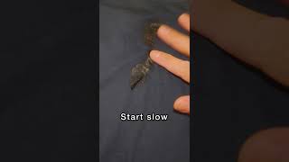Get stubborn oil stains out of your clothes!  Easy hack 👍