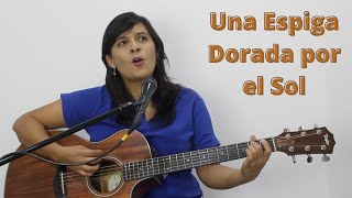 Video thumbnail of "Una espiga dorada por el sol - Acordes y letra - CANTO PARA MISA"
