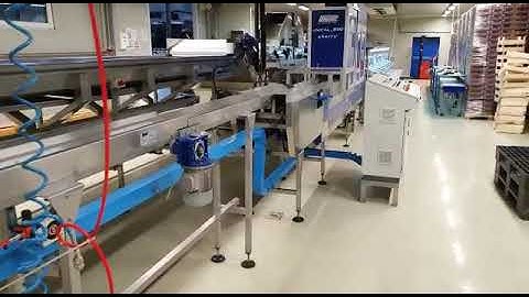 USED UNITEC CHERRY SORTING LINE