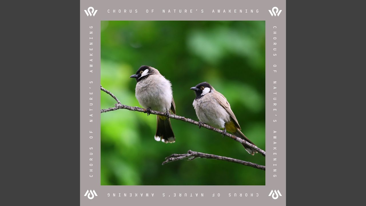 Birdsong Over Rippling Waters