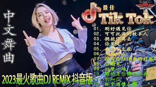 Chinese Dj Remix 2024⚡《最佳中国 DJ 音乐》 🎧【九百九十九朵玫瑰 ♪ 黃昏 ♪ 可可托海的牧羊人 ♪ 兄弟想你了 ♪...】🎧 最好的音樂Chinese DJ
