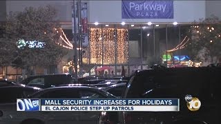 Police increase mall patrols for holidays