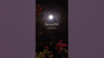 اكتب شيء تؤجر عليه ❤️ #القرآن_الكريم #تلاوة_خاشعة